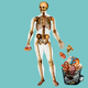 Illustration for article titled Whats the Least Useful Body Part?